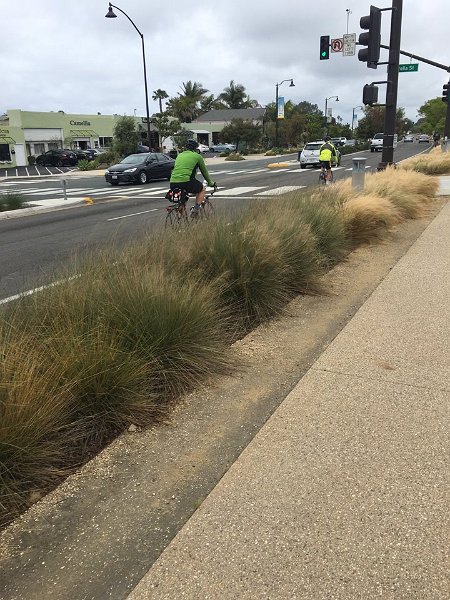 BobAndRonOn101BikeLane